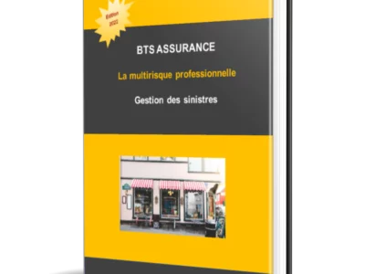 Visuel de présentation du support de cours sur la MRP — BTS Assurance U41 (3)