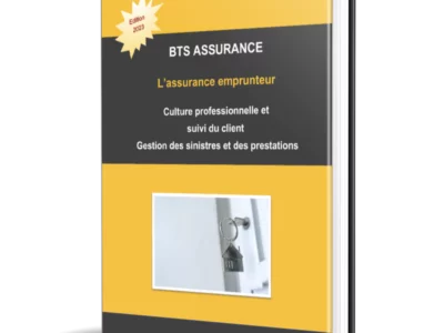Visuel de présentation du support de cours sur l'assurance emprunteur — BTS Assurance U31/U41