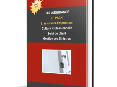 Visuel de présentation du support de cours sur l'assurance emprunteur — BTS Assurance U31/U41 (2)