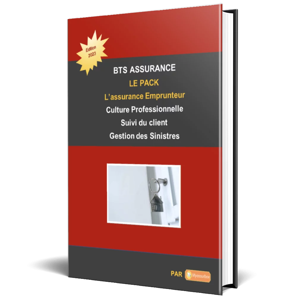 Visuel de présentation du support de cours sur l'assurance emprunteur — BTS Assurance U31/U41 (2)