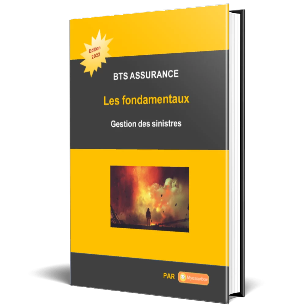 Visuel de présentation du support de cours sur les fondamentaux — BTS Assurance U41 (3)