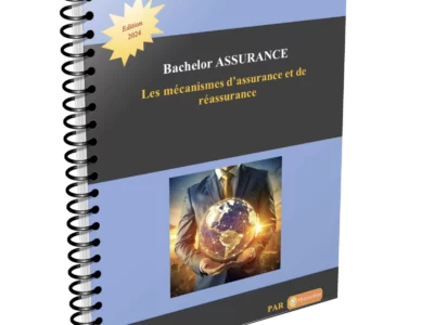 Visuel de présentation du support de cours sur l'assurance et la réassurance — Bachelor Banque/Assurance